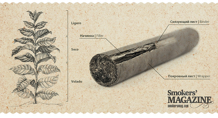 cigar-basics-01.jpg